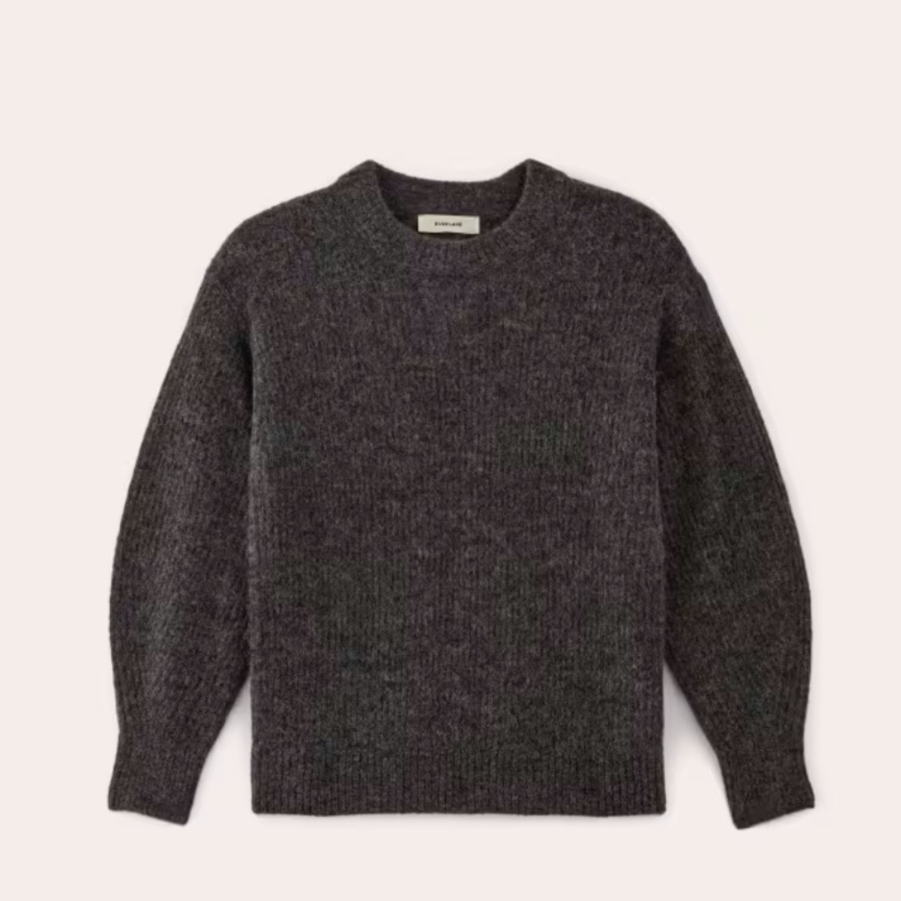 Everlane Cocoon Crew in Alpaca